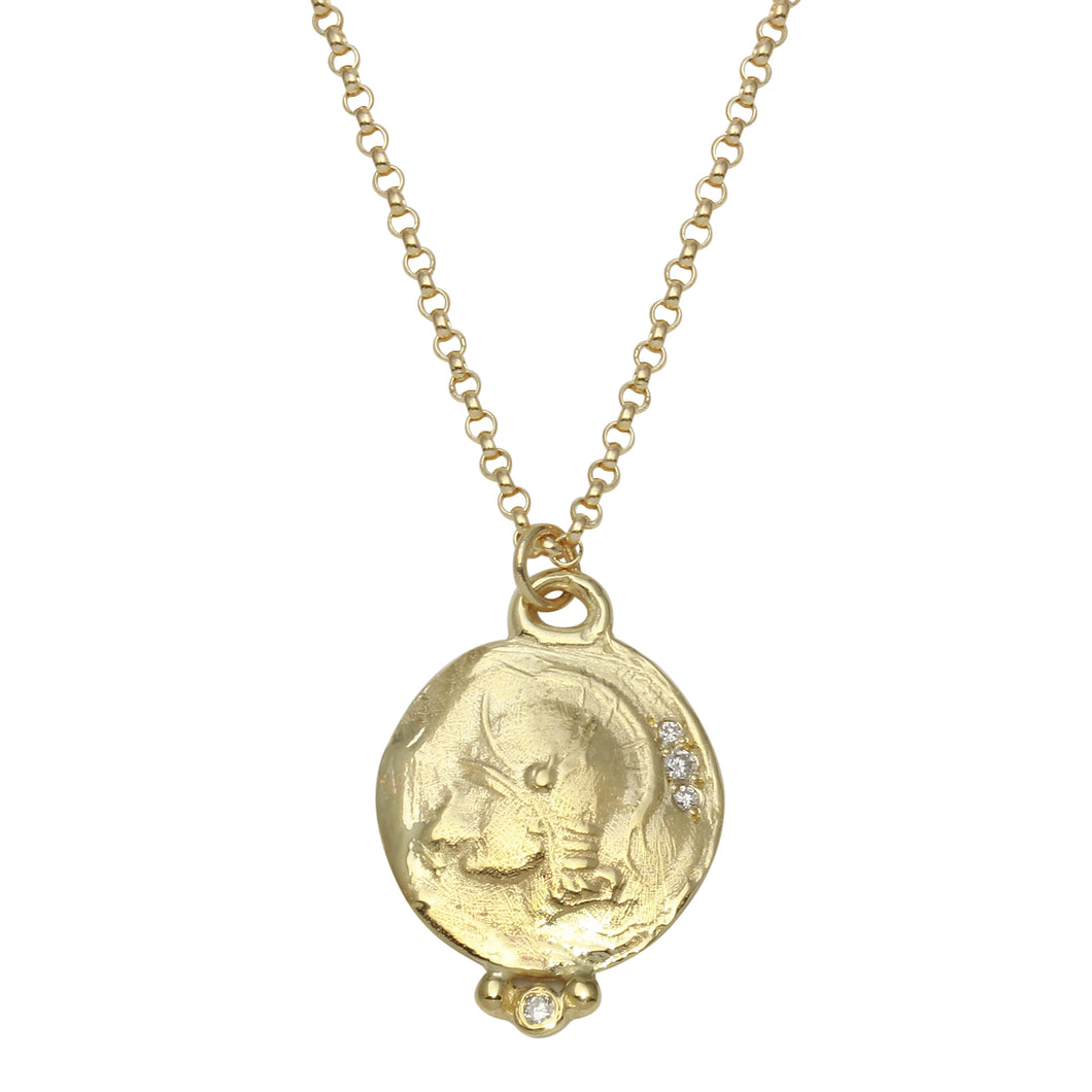 Warrior Gold Coin Necklace